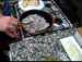 Arroz negro cremoso con chipirones y torta del Casar
