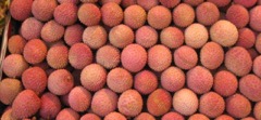 Fotografía adicional de Litchi 2