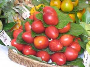 Tomate de arbol
