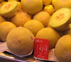 Fotografía de Melón Galia