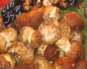 Fotografía de Boletus edulis
