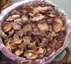 Fotografía adicional de Shiitake 3