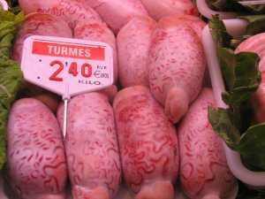 Fotografía de Turmes