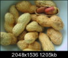 Cacahuete