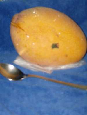 Fotografía de Mango