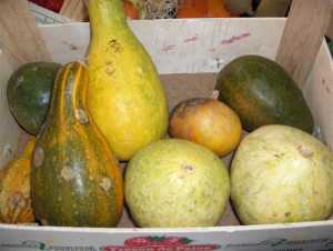 Fotografía de Calabaza
