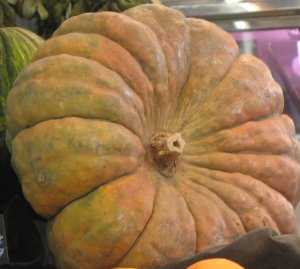 Fotografía adicional de Calabaza 2