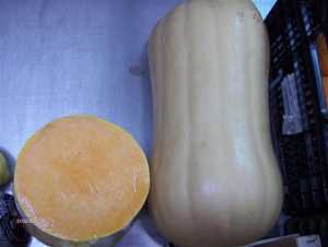 Fotografía adicional de Calabaza 3