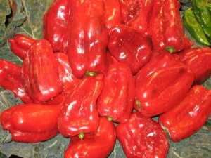 Fotografía de Pimiento Rojo