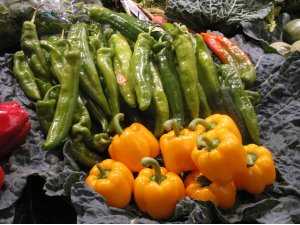 Fotografía de Pimiento Italiano