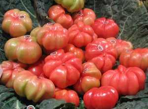 Fotografía de Tomate de Montserrat