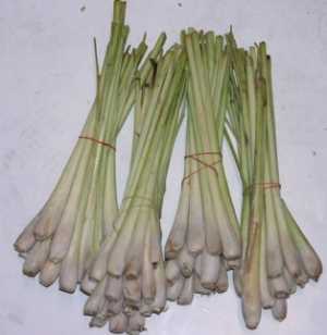 Hierba de limón