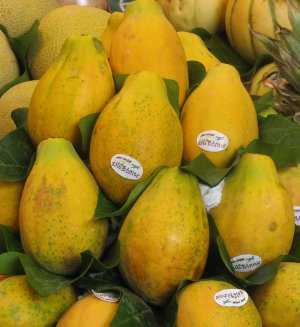 Fotografía de Papaya