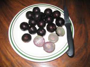 Fotografía adicional de Jubuticaba 2
