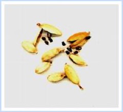 Fotografía de Cardamomo