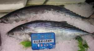 Fotografía de Albacora