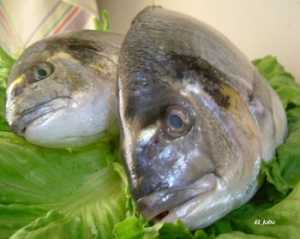 Dorada