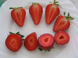 Fotografía de Fresas
