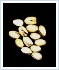 Fotografía de Pistacho